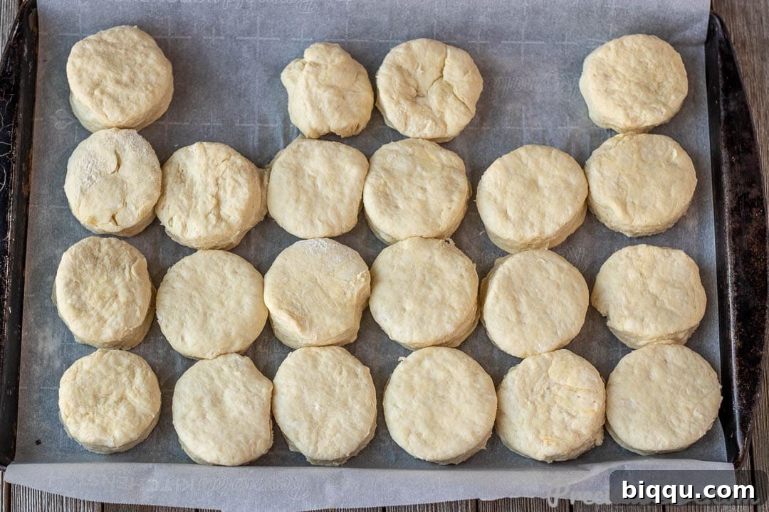 Cut out biscuits placed on a baking sheet, lightly touching each other.