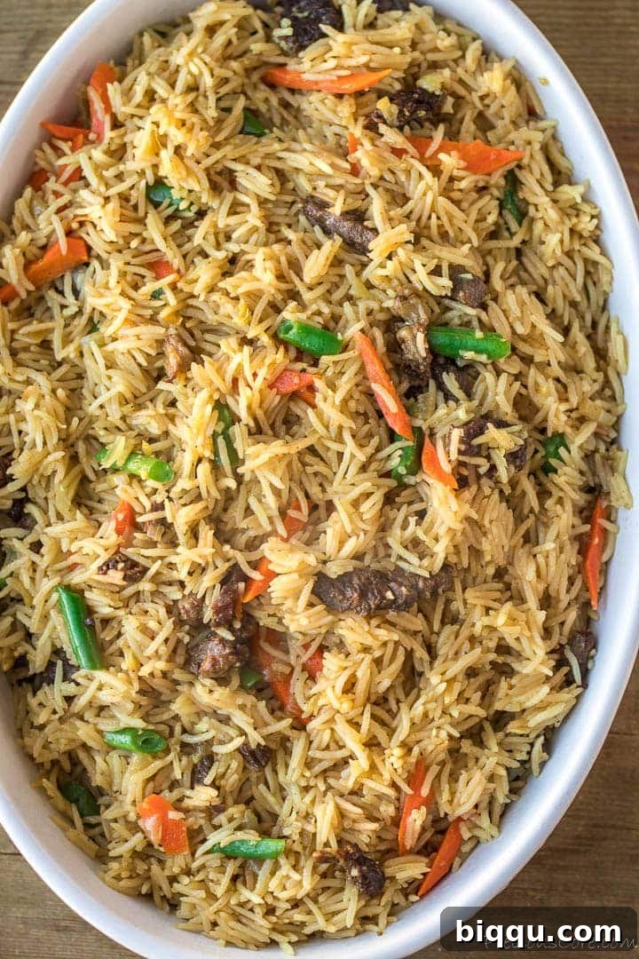A vibrant oval serving bowl filled with steaming hot Beef Fried Rice, garnished with fresh green onions.